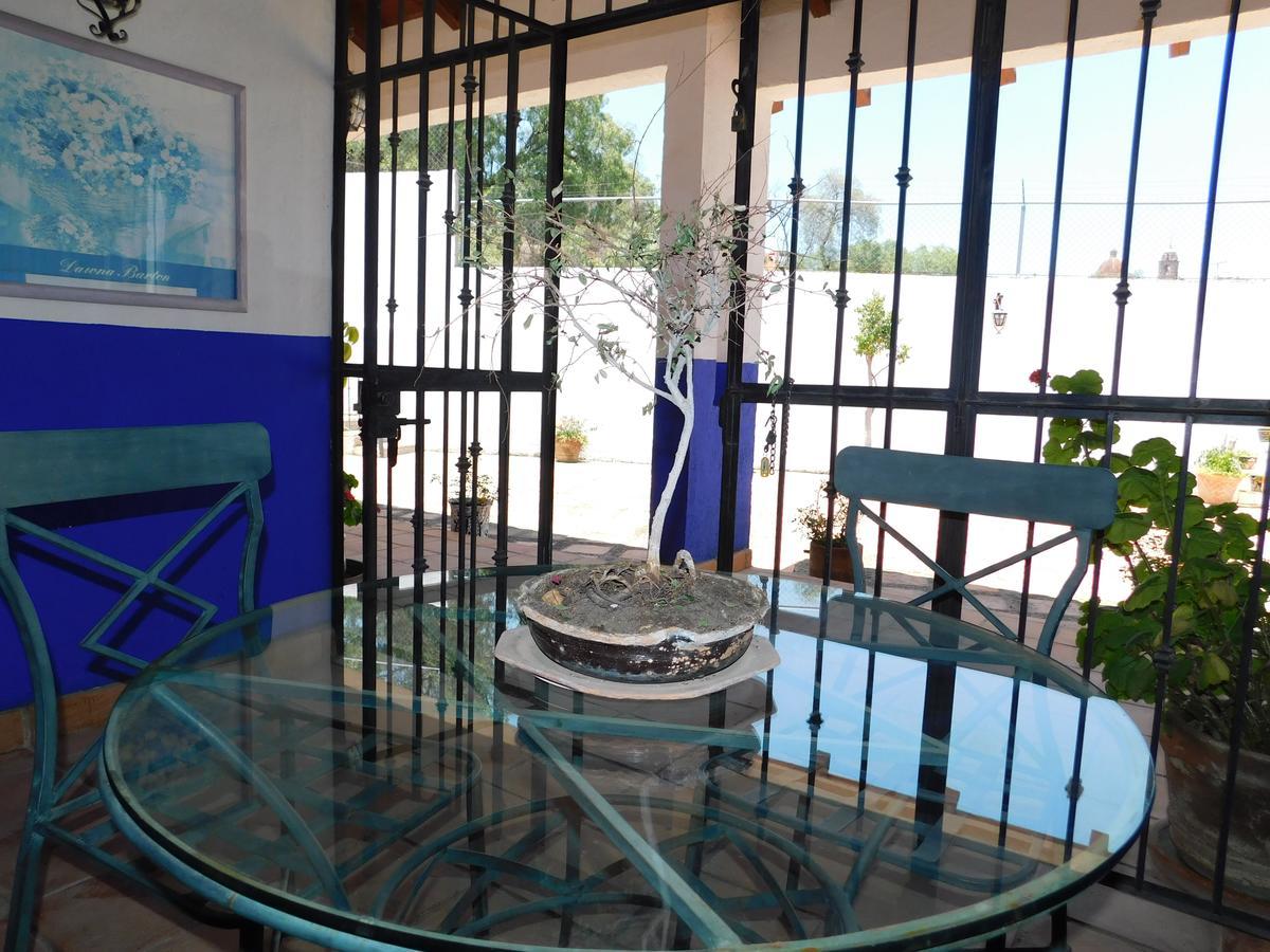 Casa Erizo 39 (Adults Only) Hotel กัวนาฮัวโต ภายนอก รูปภาพ