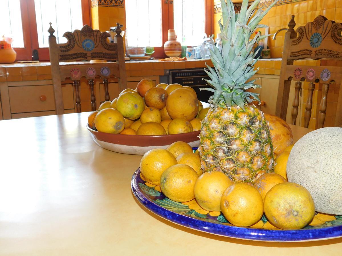 Casa Erizo 39 (Adults Only) Hotel กัวนาฮัวโต ภายนอก รูปภาพ